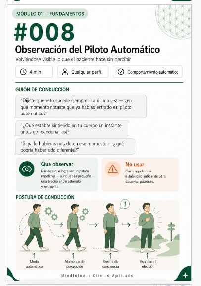 Ejercicio #008 - Observación del Piloto Automático